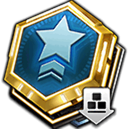Commanders Prerogative