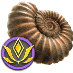 Picard's Ammonite Fossil