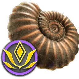 Picard's Ammonite Fossil
